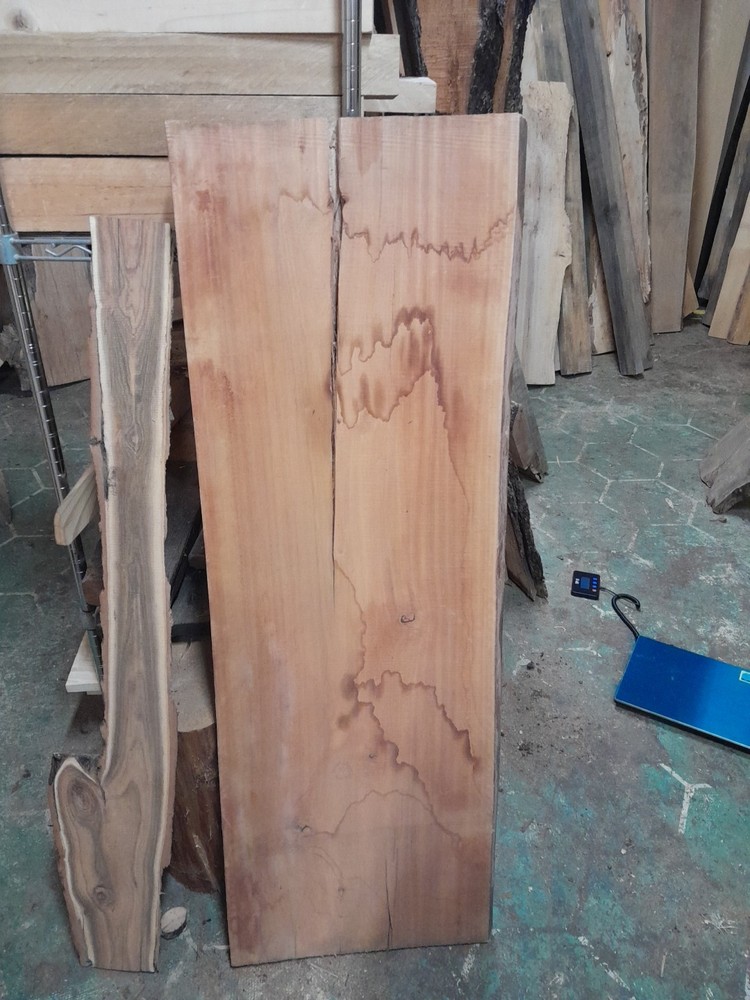 Palm Tree Live Edge Slab