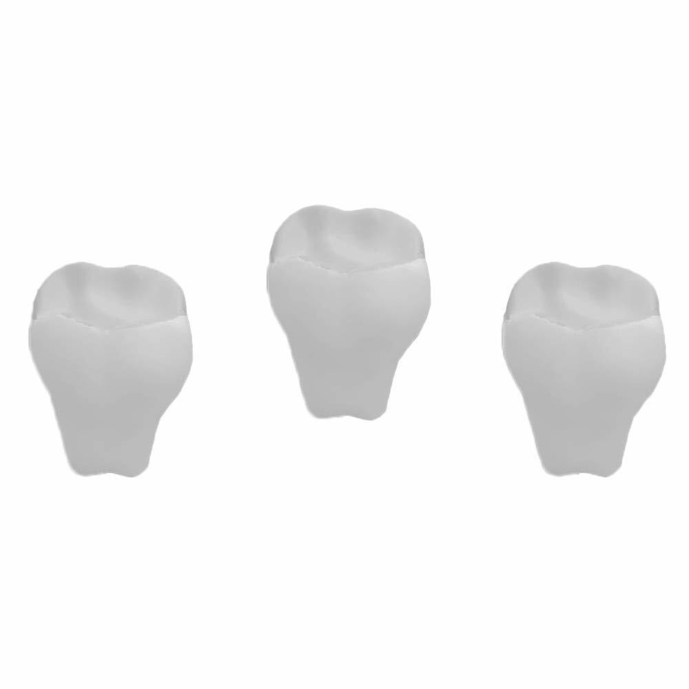 Stress Relief Squeezable Foam Tooth Teeth Set of 3