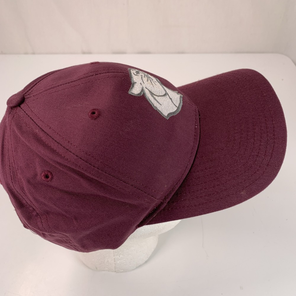 Panthers Youth Burgundy Snapback Hat Ball Cap