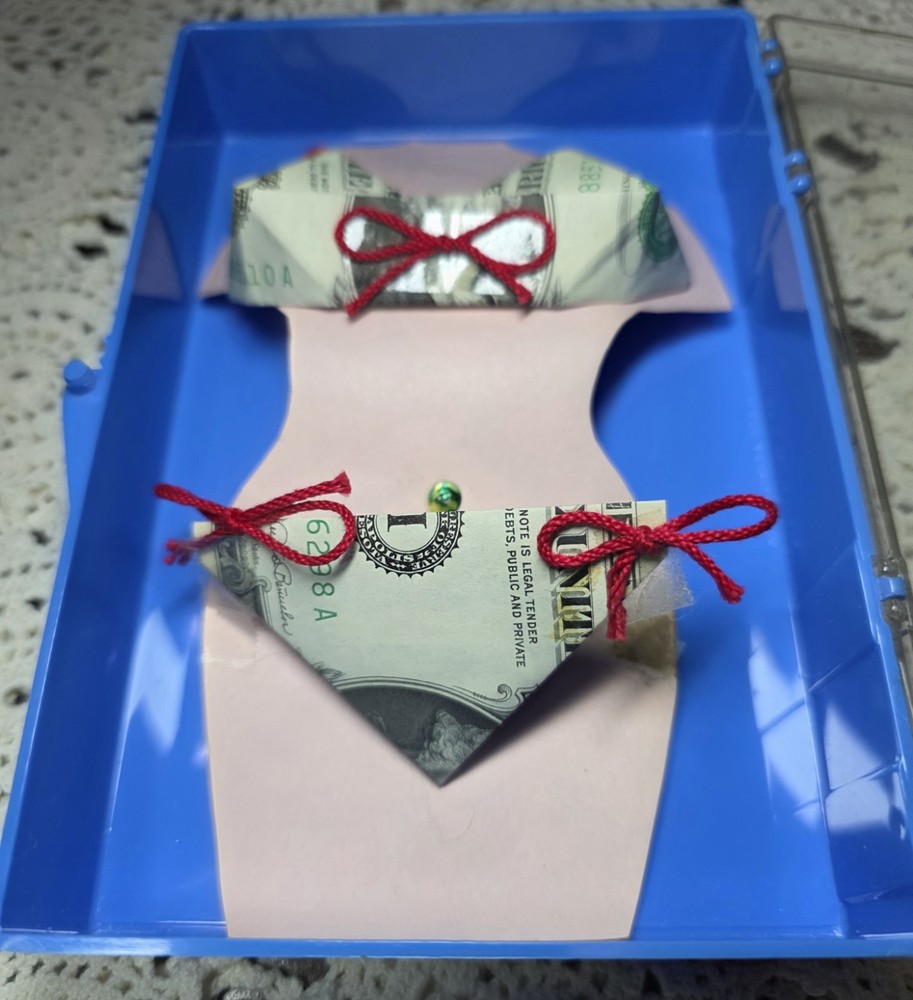 Oragami Bikini Made With Dollar Bills