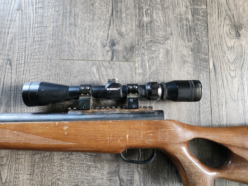 Benjamin Trail NP XL .177 Cal