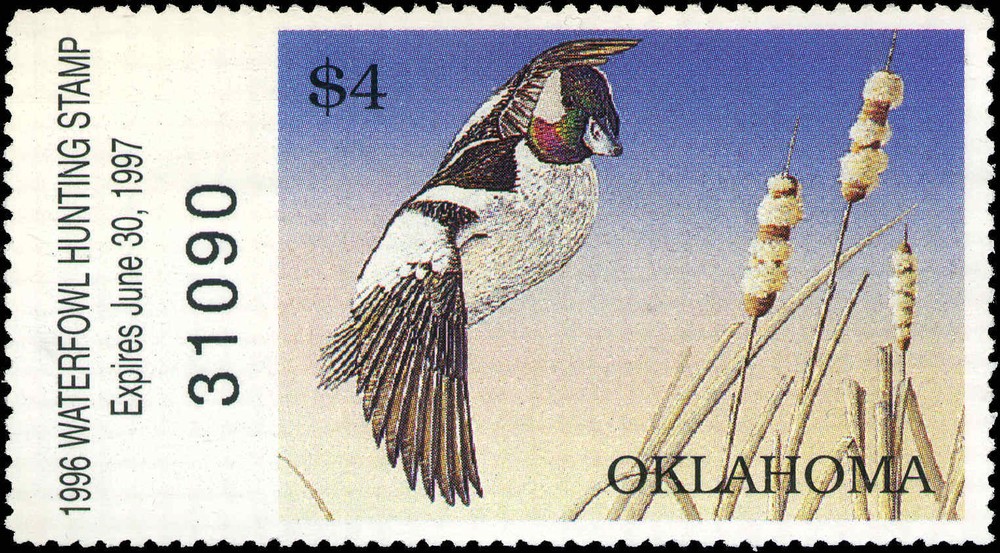 OKLAHOMA #17 1996 STATE DUCK STAMP BUFFLEHEADS  by Greg Everhart