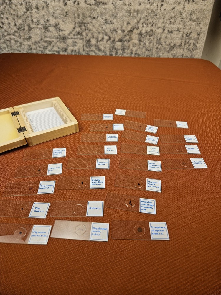 Celestron prepared microscope 25 slide set