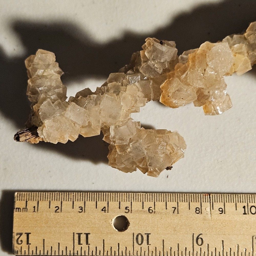 Halite On Wood Fluorescent Mineral Specimen