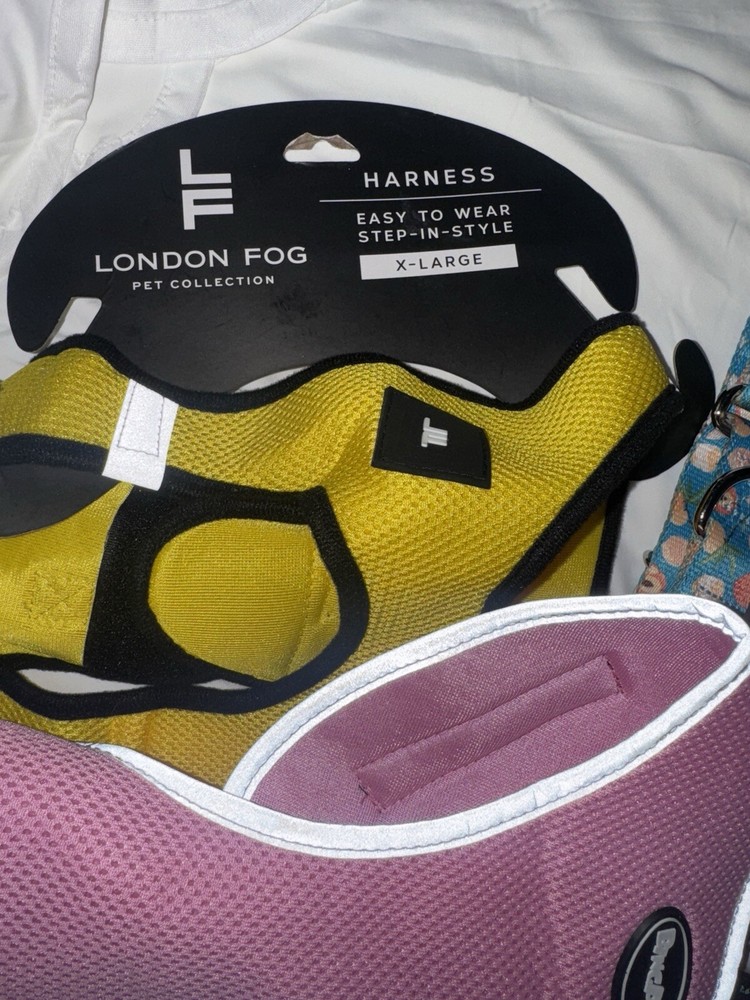 Harness, Collar & Bikini Lot