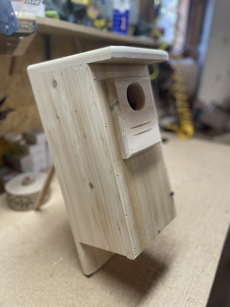 2 pack Red bellied woodpecker nest boxes (white cedar)