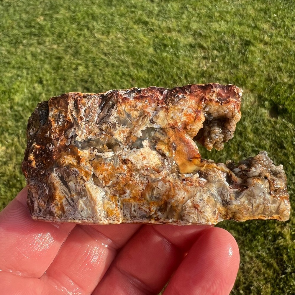 Graveyard Point Pseudomorph Stick Agate Rough Faced Specimen 94gm (A19)