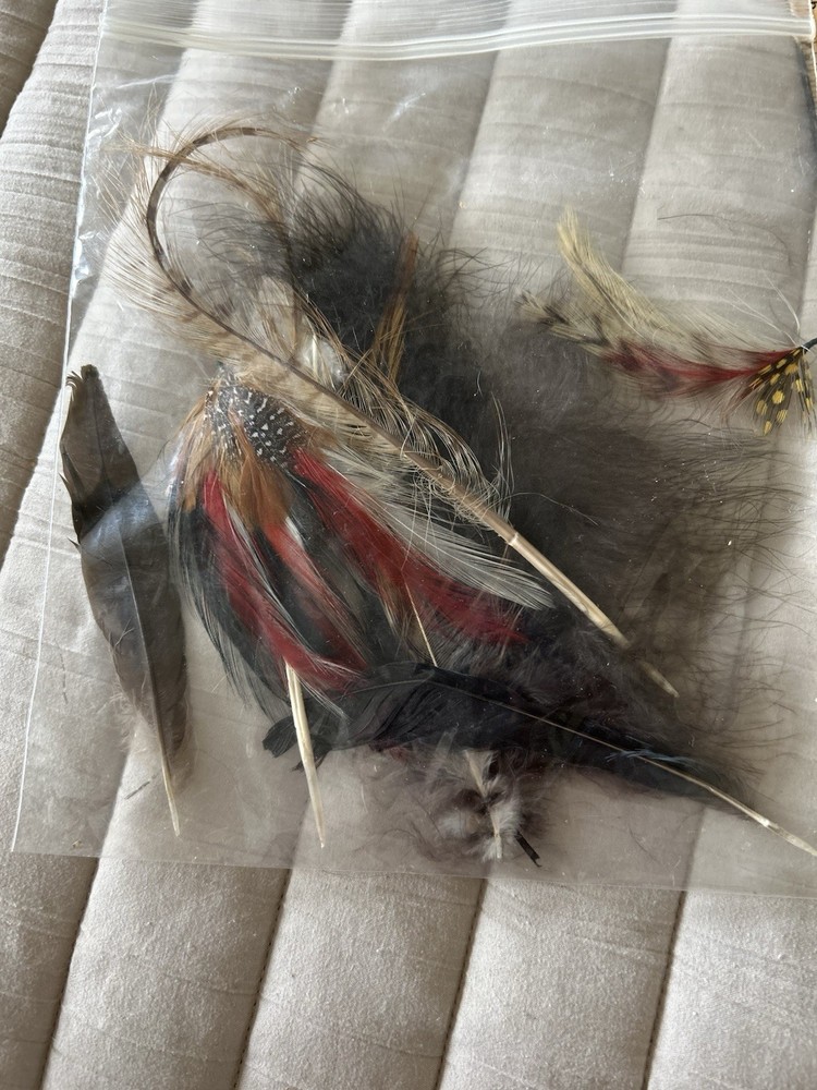 All Natural Feather Assortment Primarily Pheasant Feathers For Crafting
