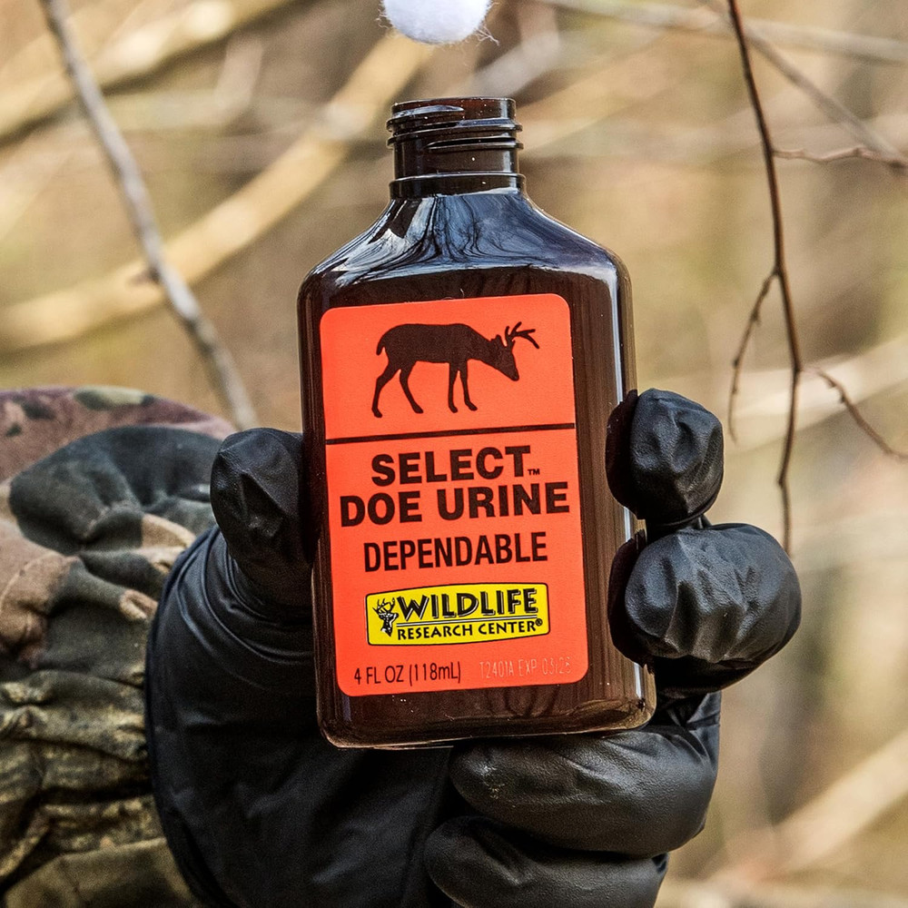 deer Attractant
