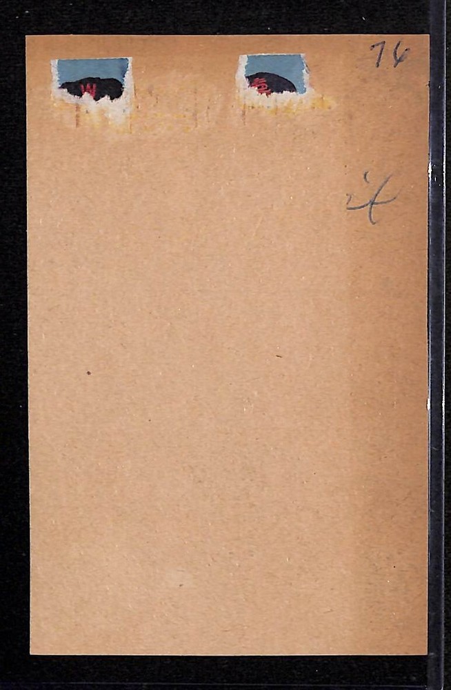 Sandy Consuegra Newspaper Clipping Signed Auto