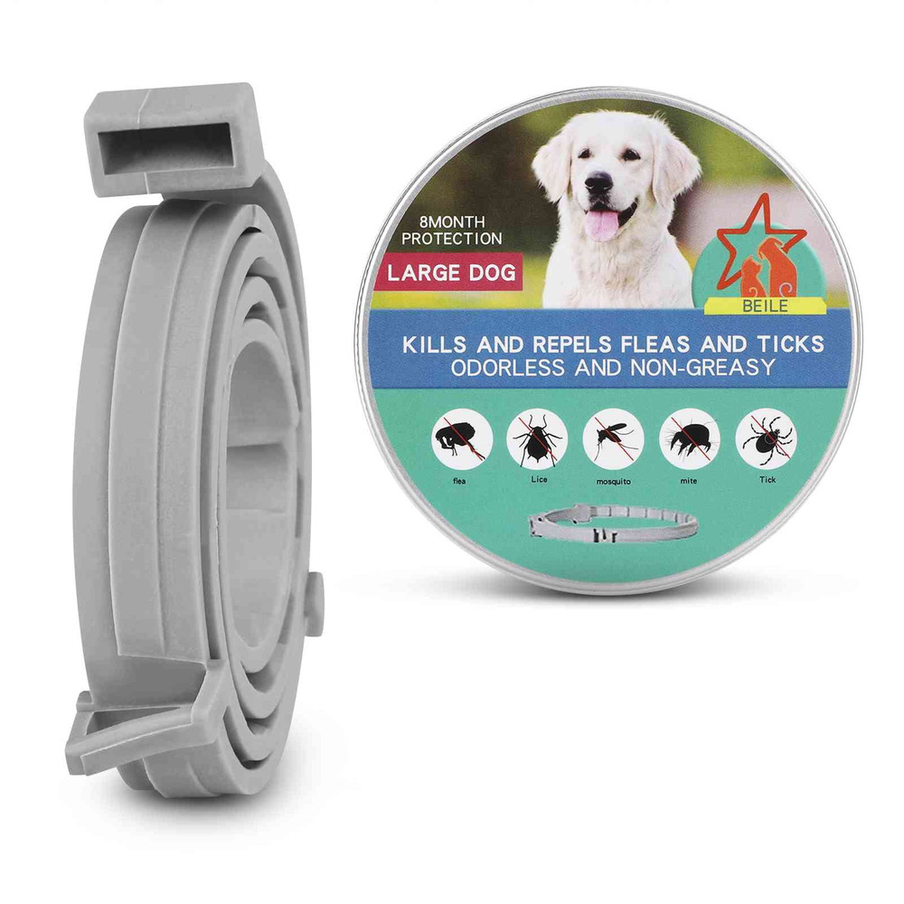 Collar for Harrier and Other Medium Size Hound Dogs. Waterproof & Adjustable.