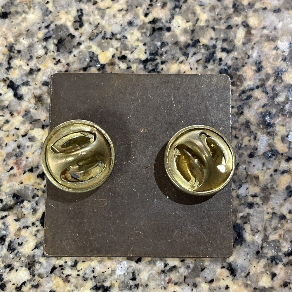 HOG Lapel Pin Harley Davidson Owners Group - Rolling Thunder Washington DC 2010