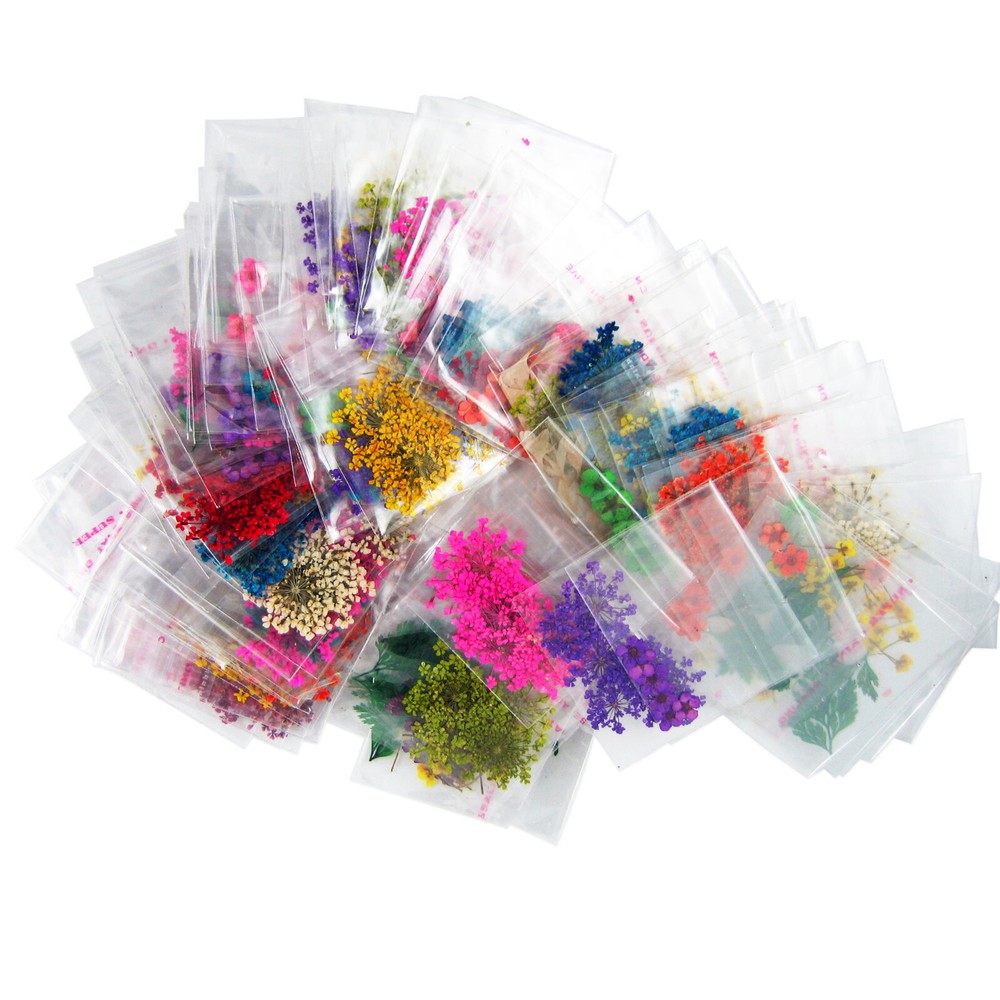 [DDP] 10Packs Pressed Flower Assorted Styles Dried Flower