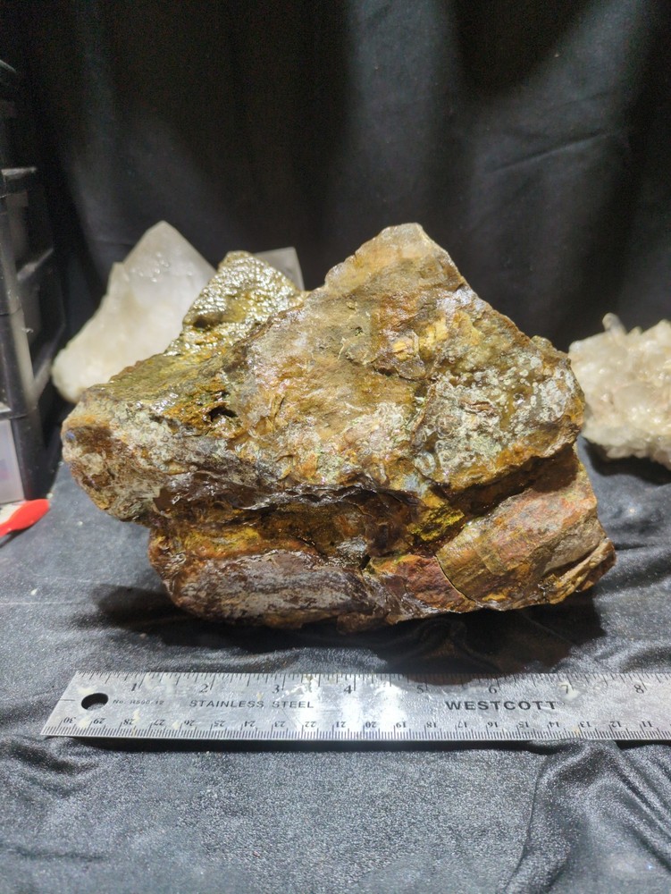 Biggs Jasper Specimen w/ Dendric Natural Form (7lbs 12oz)