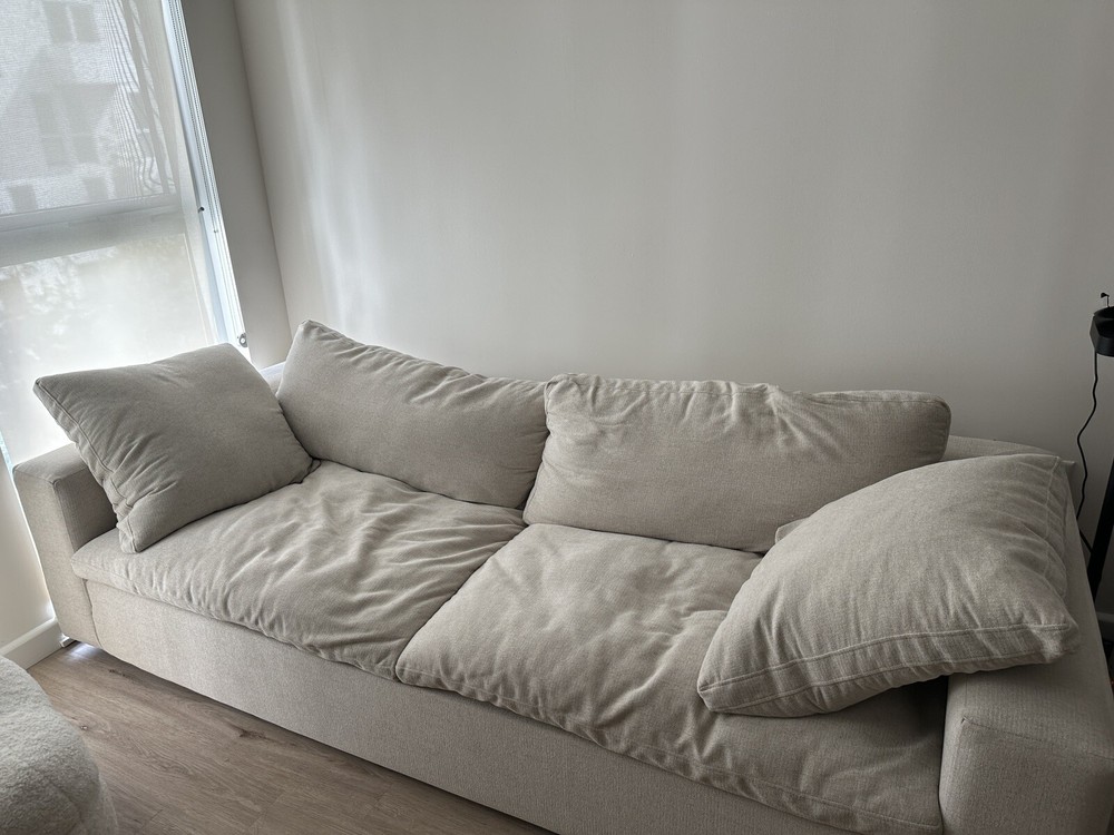 Living Spaces Utopia Sofa(lightly Used)