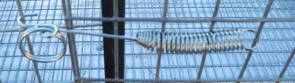 Spring Latches for Rabbit Cage Doors 4 inch Springs 10 Pack 10SL4
