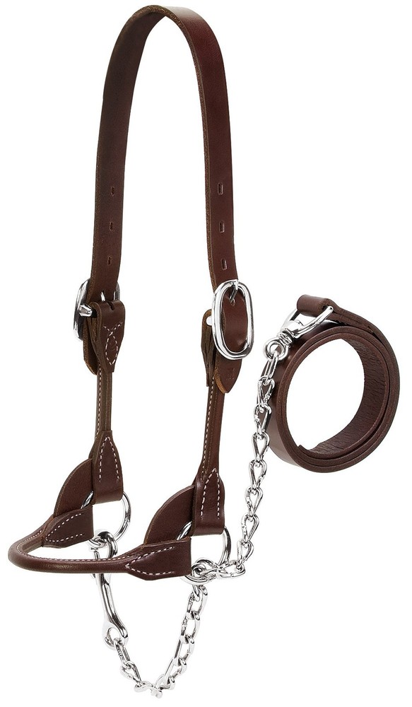 Dairy/Beef Rounded Show Halter