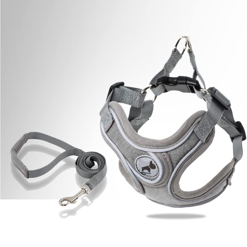 Small Gray Dog Harness Leash Set Reflective Strips Adjustable Step in Vest