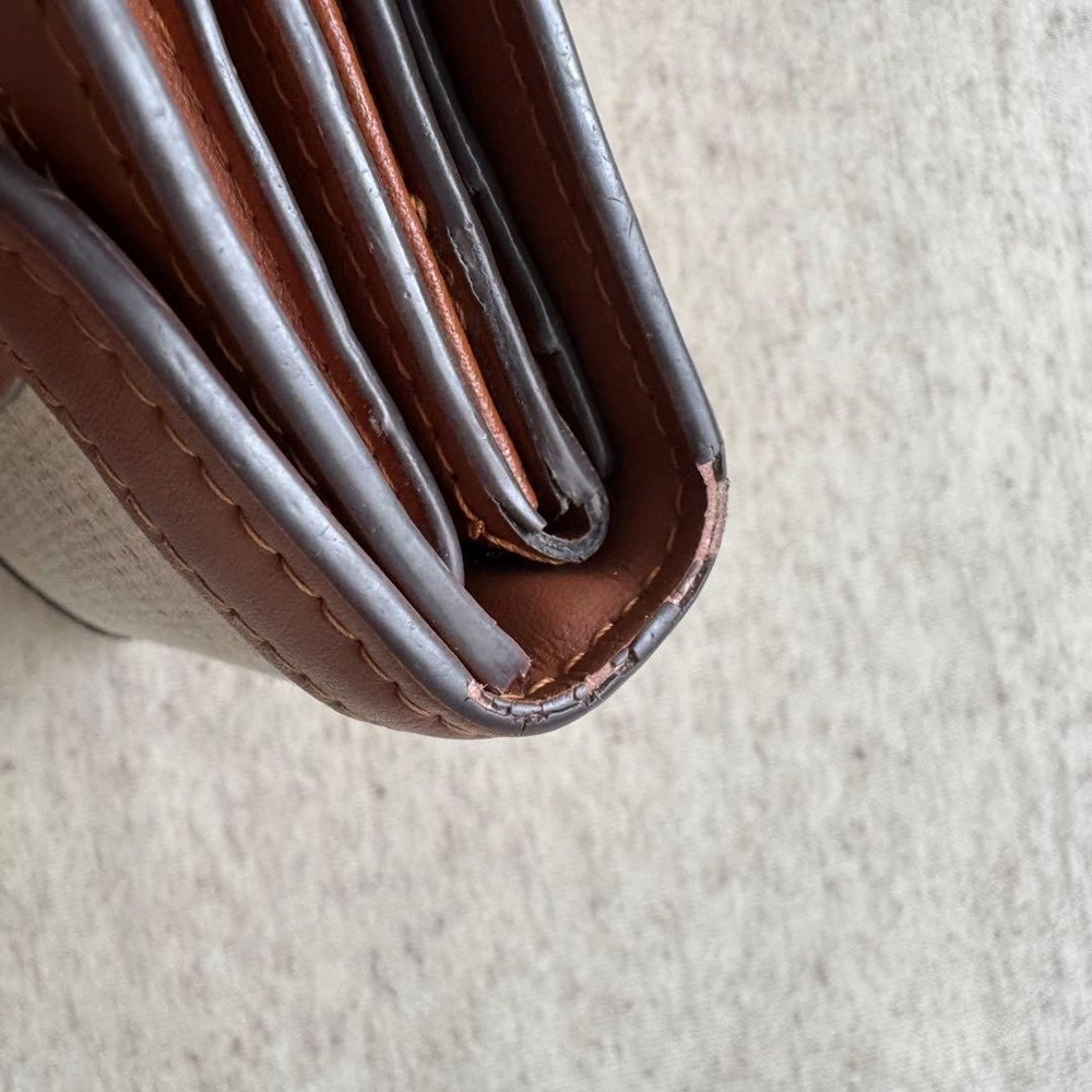 CELINE Small Flap Wallet Triomphe