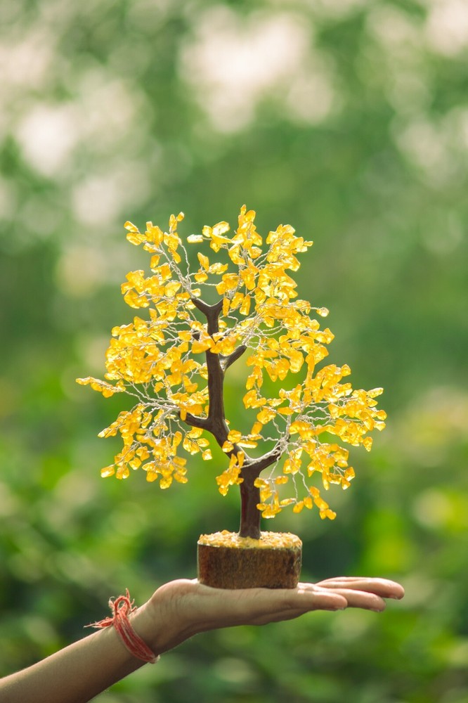 Gemstone Citrine 500 Chips Gem Tree