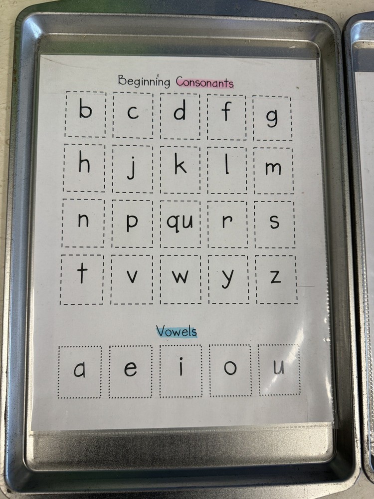 Write & Wipe Activity Set Beginning Sounds Phonics - Learning Ctr Cookie Sheets