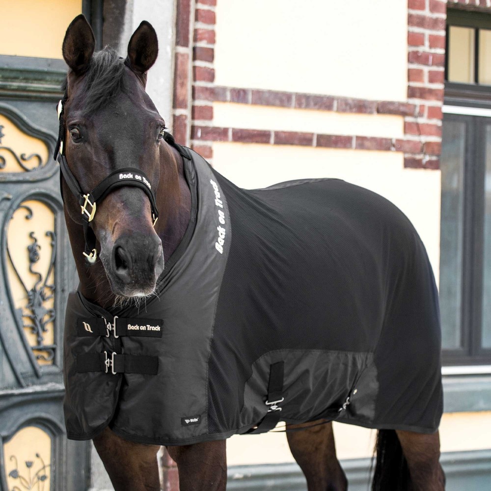 BACK ON TRACK Royal Black Deluxe Mesh Sheet (221490)