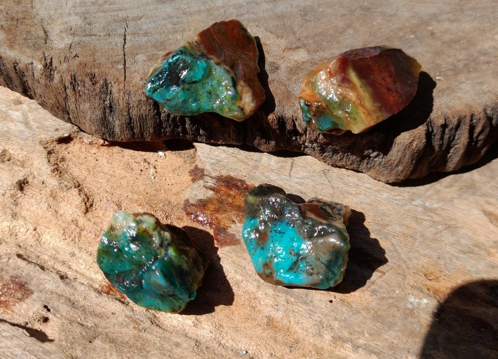 Get 4pc, Rare Natural Blue Opalized Petrified Wood, Indo Java Gem Minerals