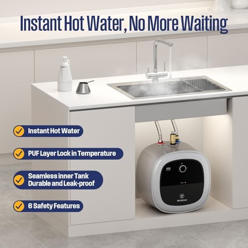 4 Gal Electric Mini-Tank Water Heater for 2-3 APOLO Classic Plus 4 Gallon
