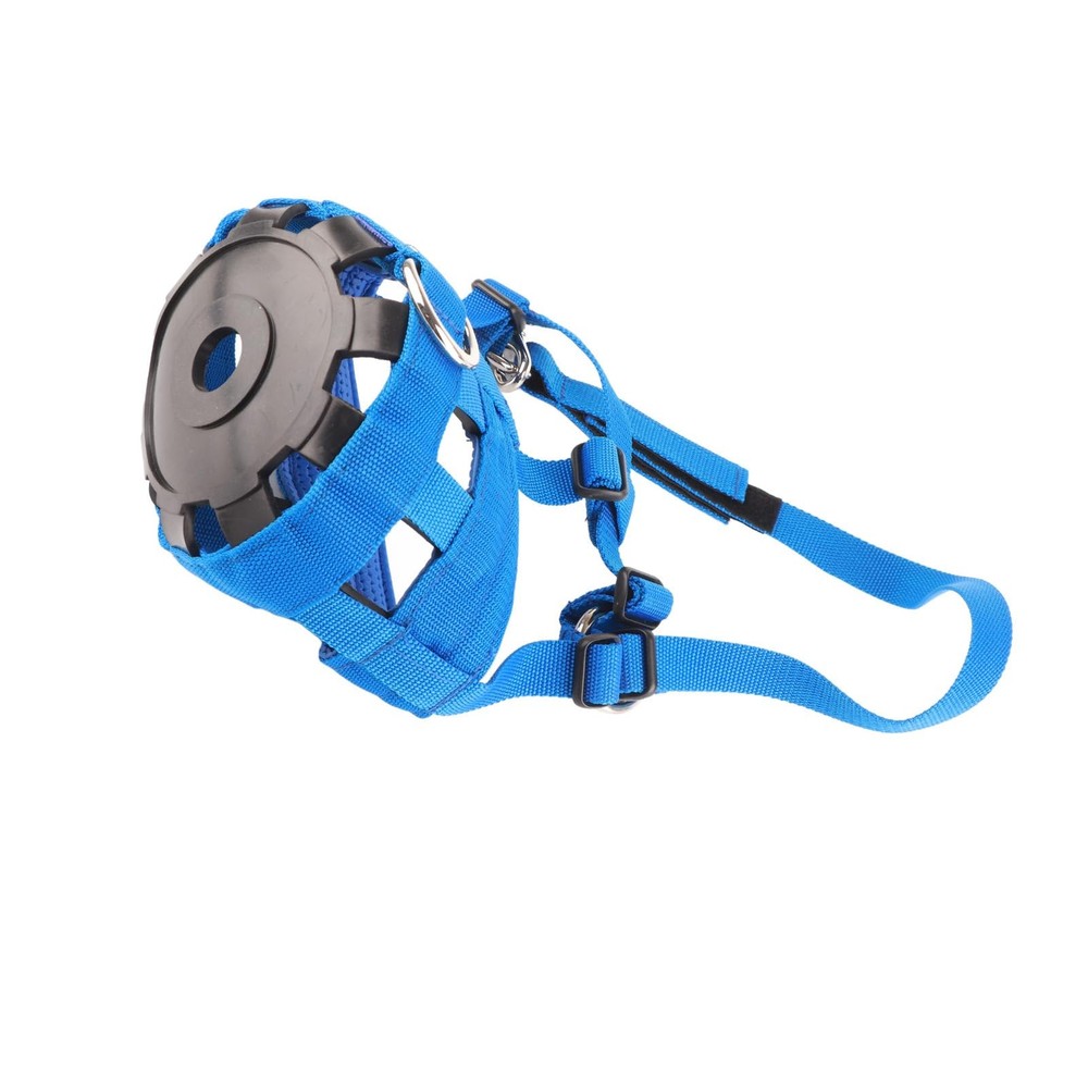 Blue Nylon Horse Grazing Muzzle & Anti-Bite Halter with Adjustable Fastener