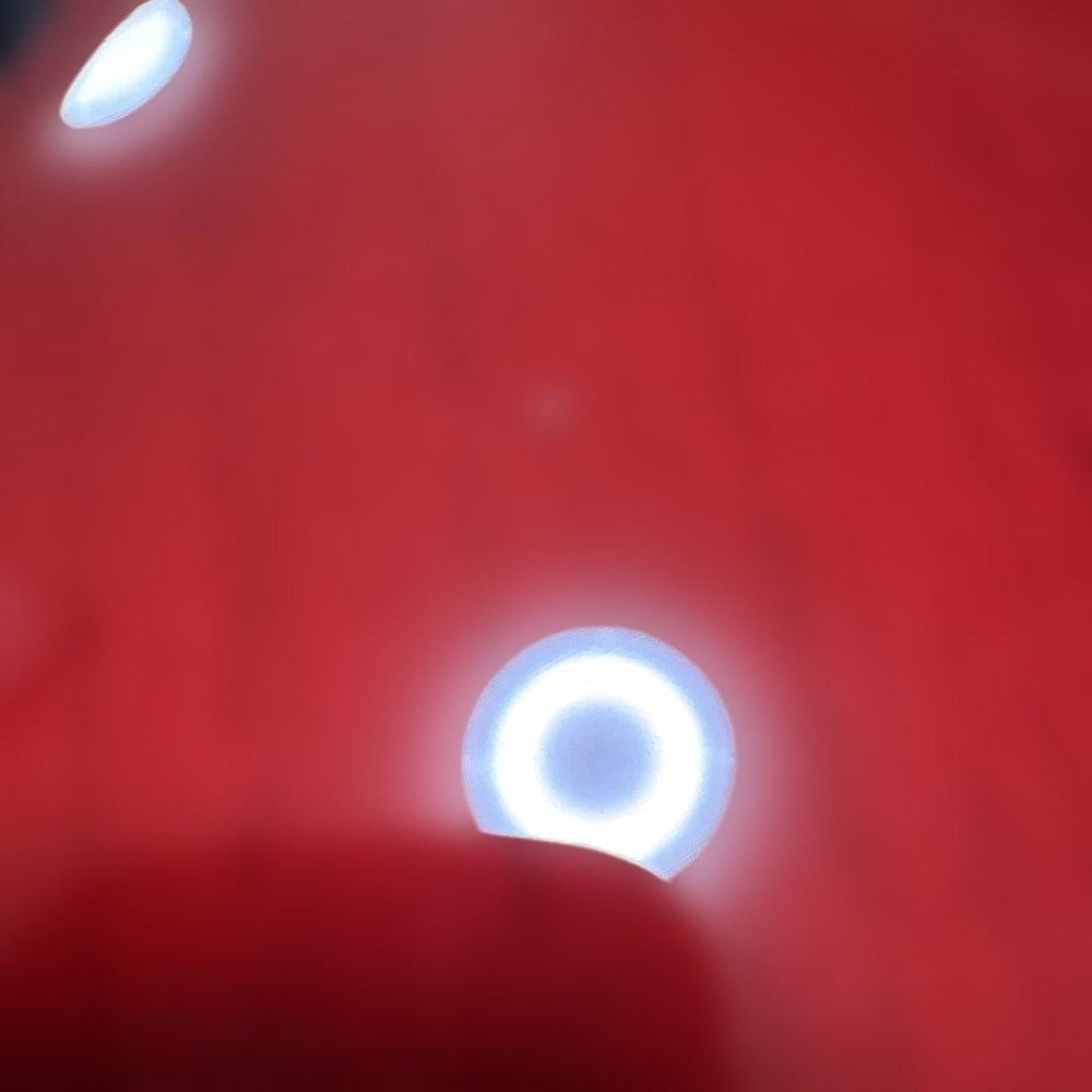 Burny Les Paul Safe Packing!