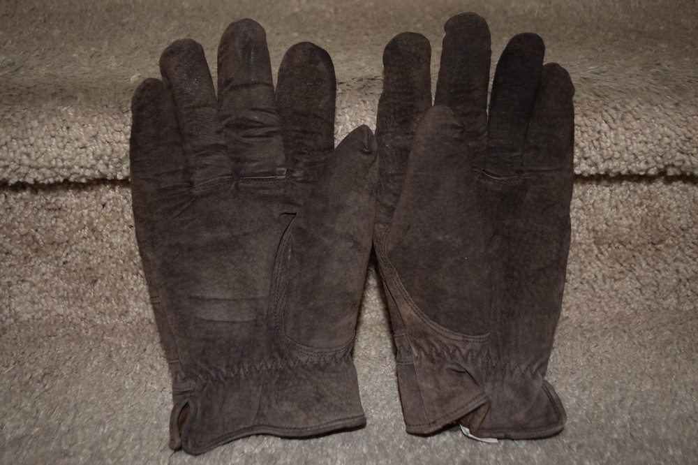 Thinsulate Insulation Lauer Size L Brown Gloves