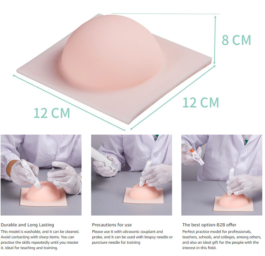 Breast Ultrasound Puncture Model 4 Simulated lesions Inside Resection Training
