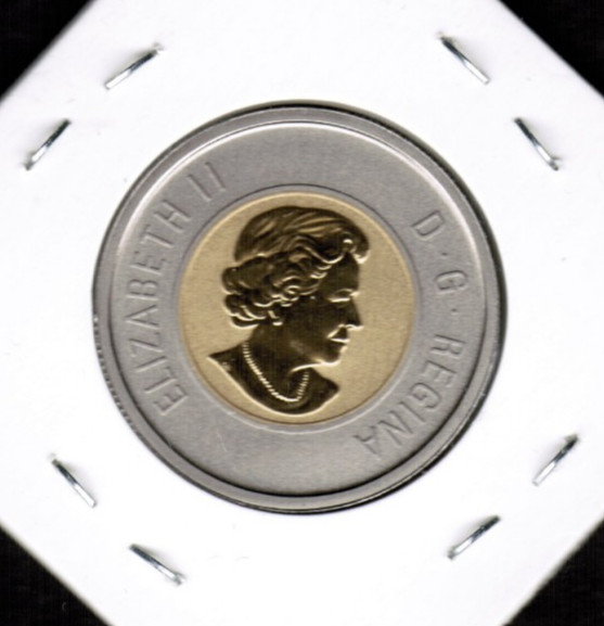 2013 Canada $2 Black Bear Cubs Specimen Gem UNC