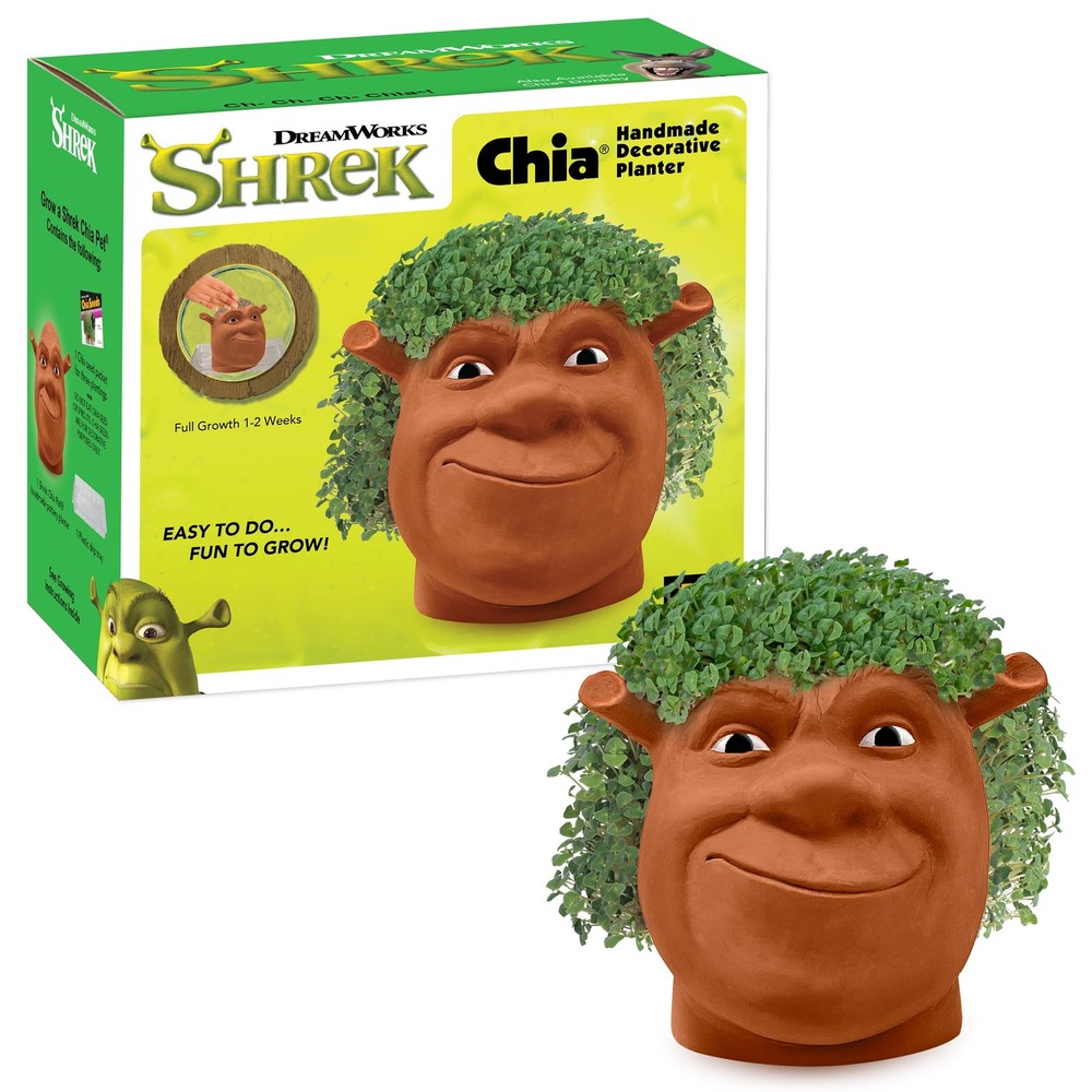 Shrek Handmade Decorative Planter by JEI