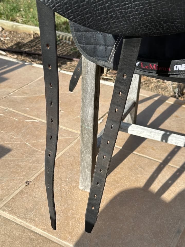 N2 Dressage Saddle 17"