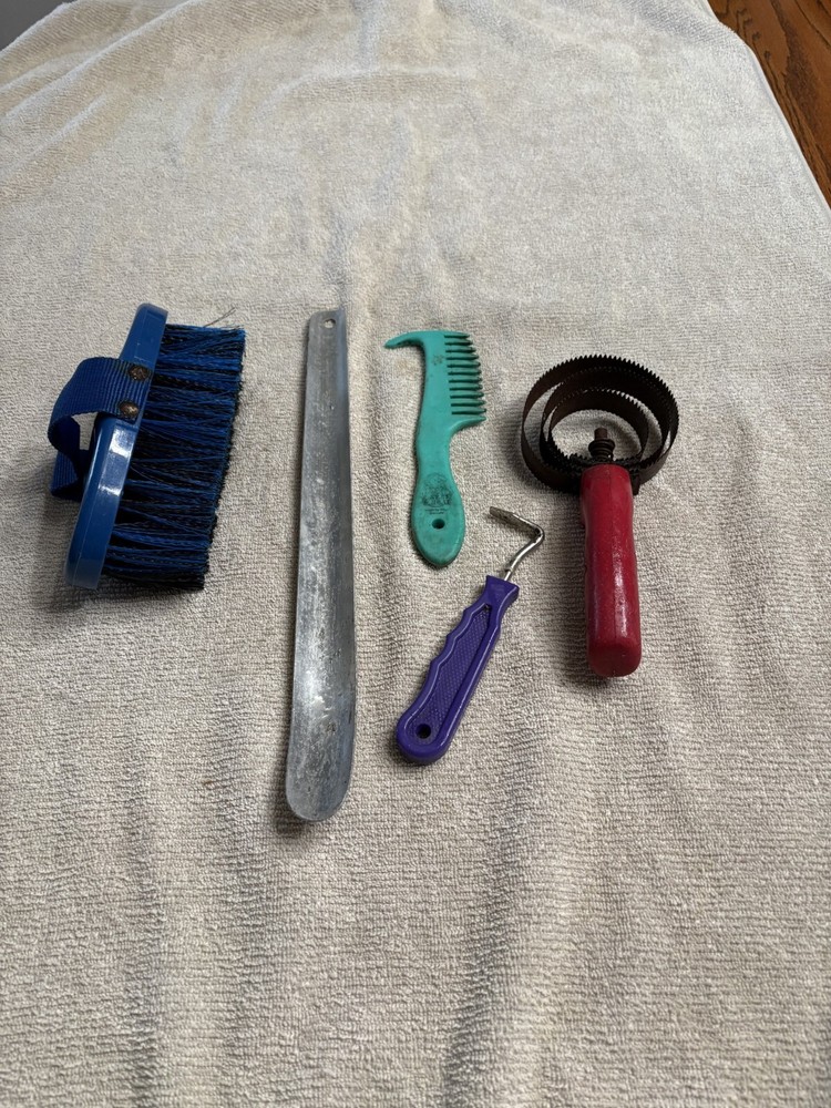 equestrian horse care items