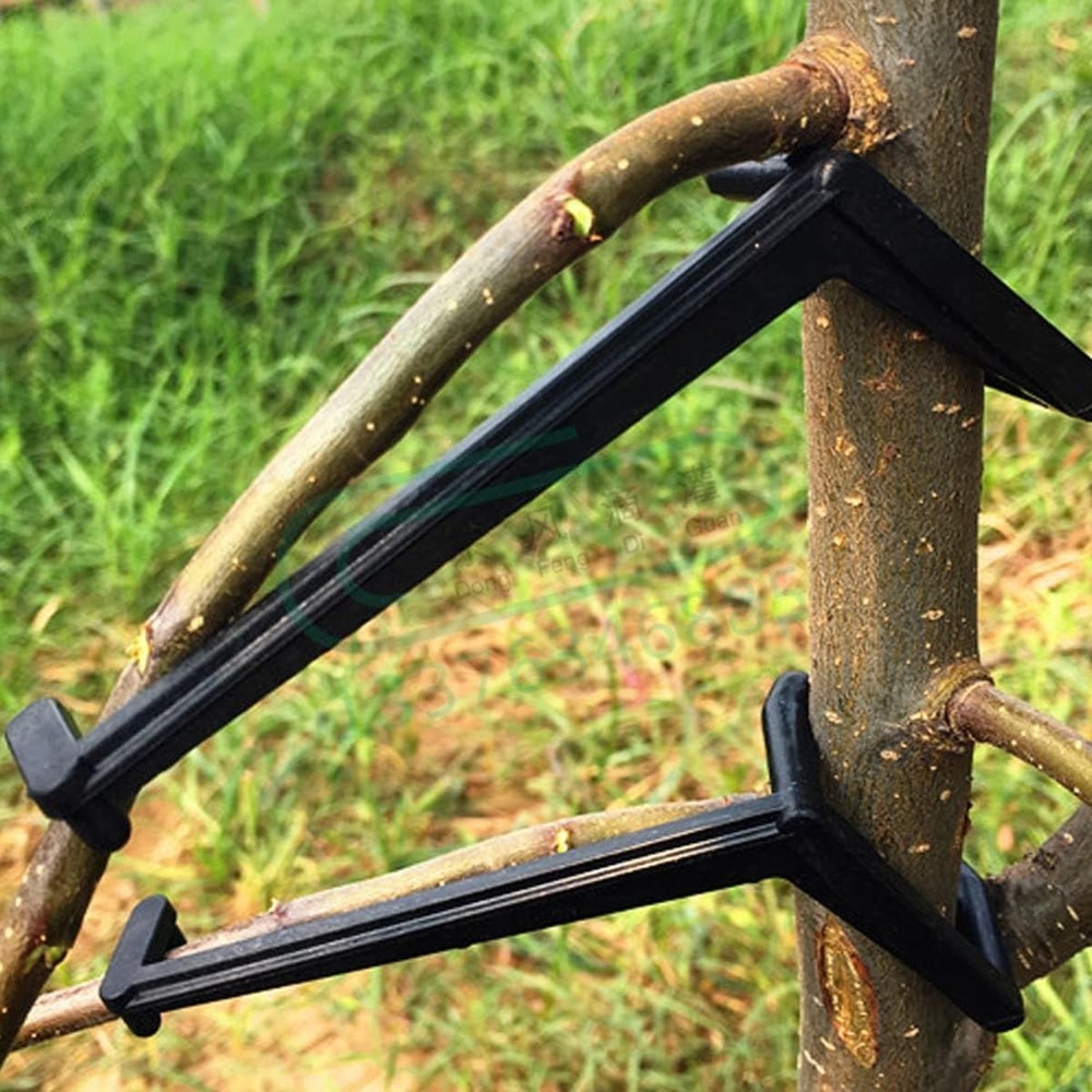 50Pieces Fruit Tree Branch Limb Spreader for Strong Spreading Crotch Angles B...