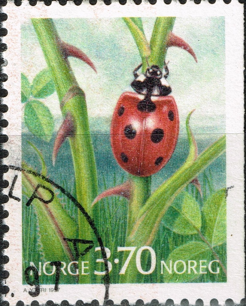 Norway Fauna Insects Bug 1997 stamp B-6