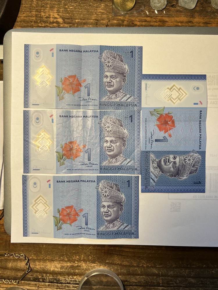 Malaysian Riggits (4)