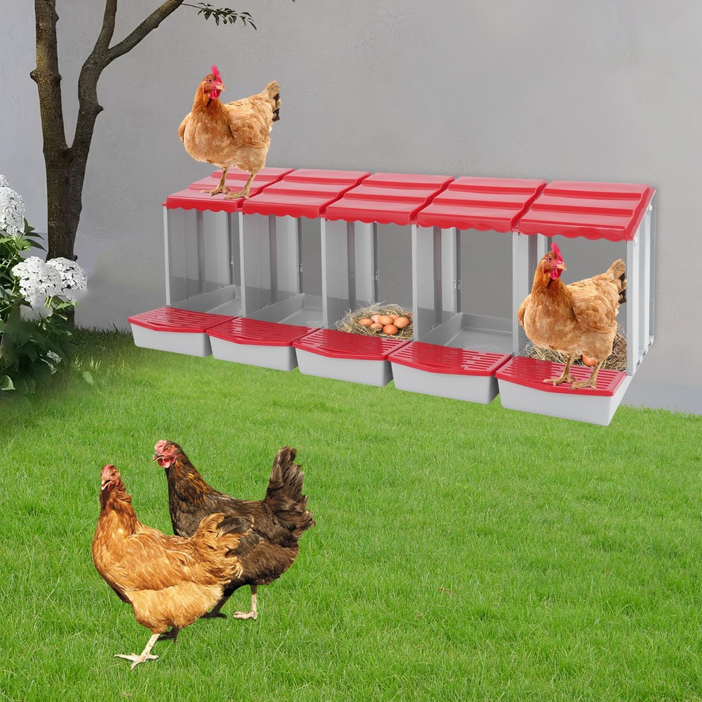 5-Compartment Chicken Nesting Box Chicken Laying Box with Egg Collection USA