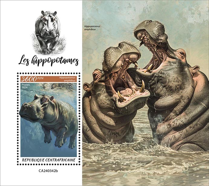 Hippopotamus