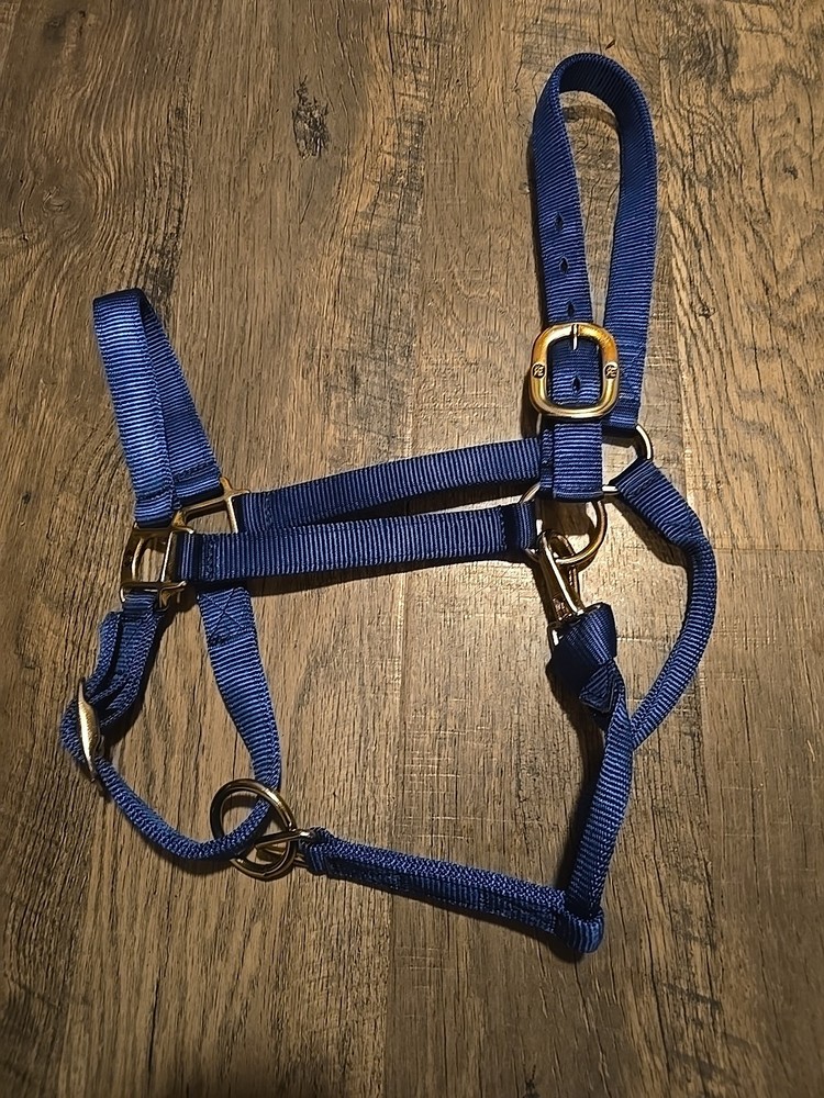 Horse Halter
