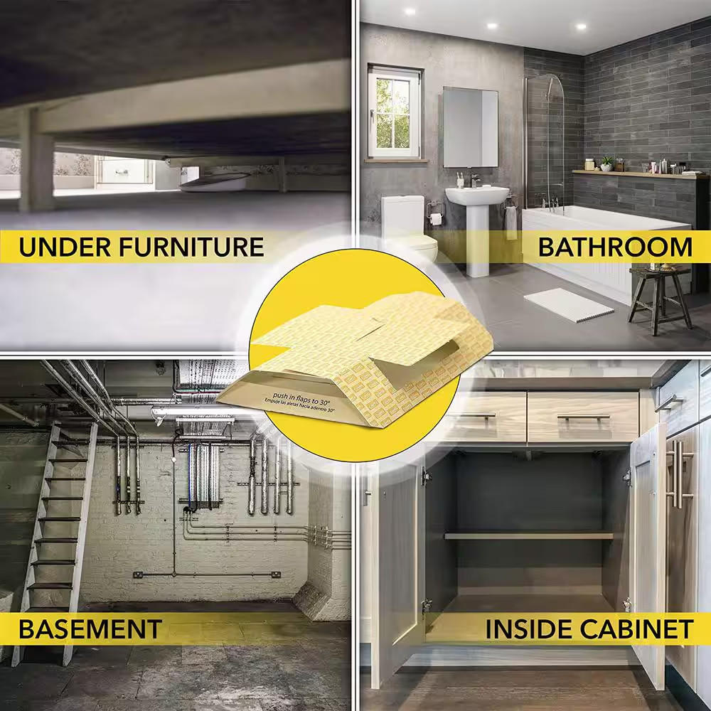 Roach Trap Value Pack