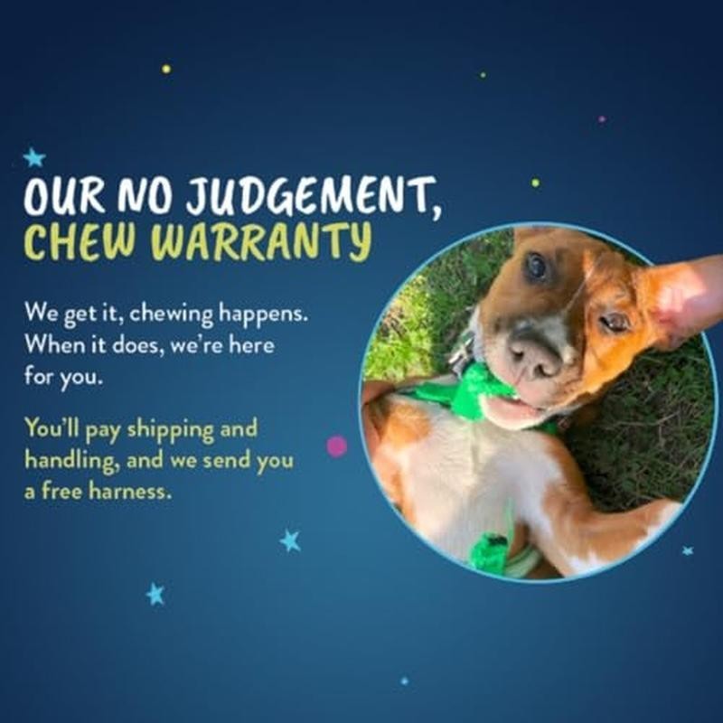 No Pull Dog Harness Comfortable Control Adjustable Leash Set Training Dogs New