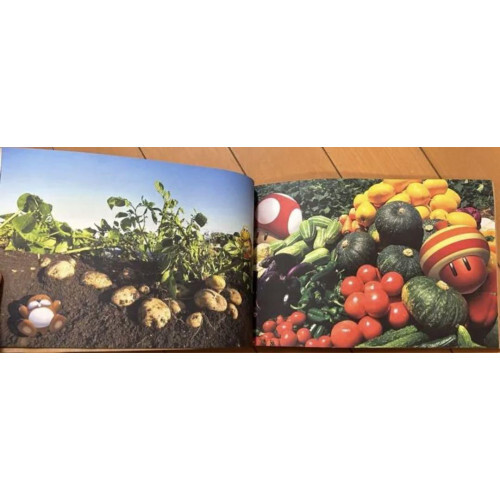 Nintendo Recruitment 2013 Company Information Document