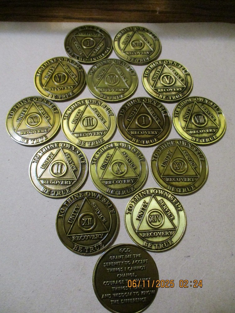 12 Step NA Necklace with 24" Box Chain NARCOTICS ANONYMOUS