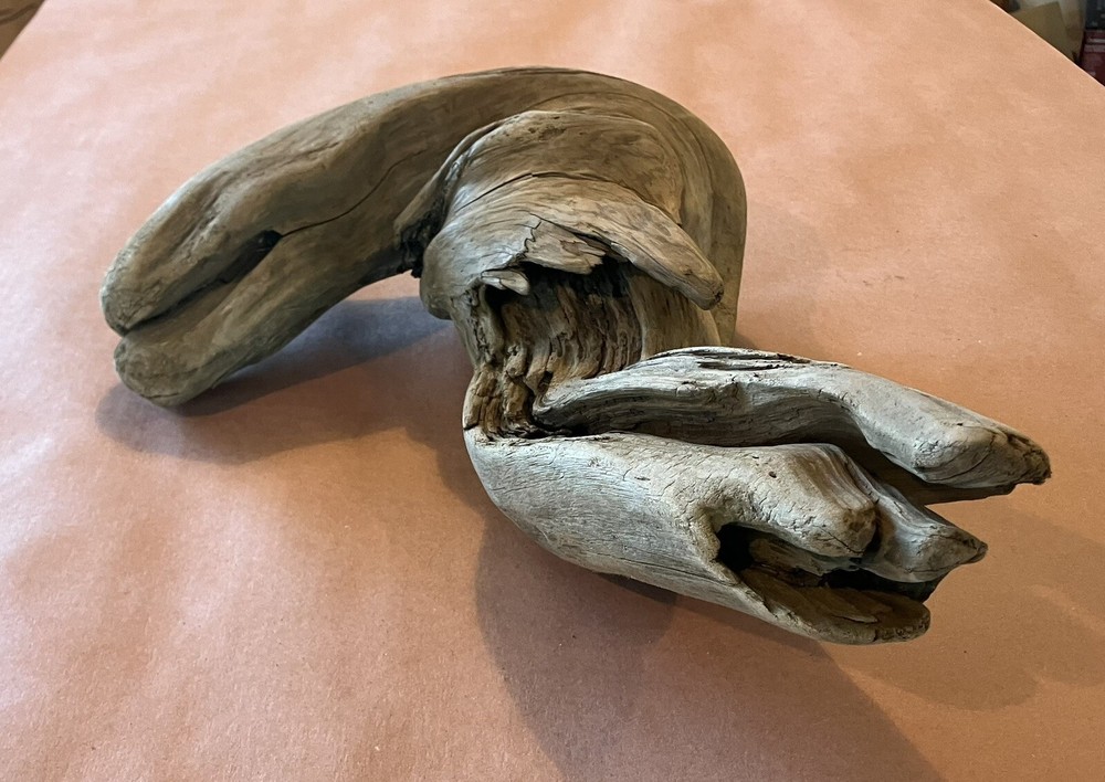 Beautiful Driftwood