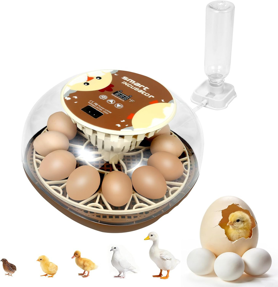 Simple 12-Egg Incubator for Beginners, Auto Egg Turn, Steady Self-Regulating Hum