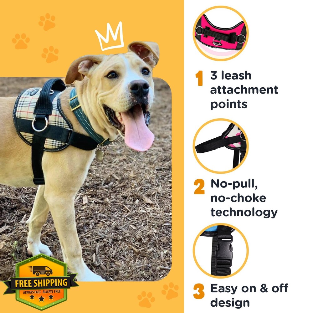 Bark Appeal Purple No-Pull Dog Harness Large Adjustable Reflective