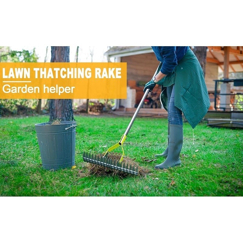 Adjustable Thatching Rake Garden Tool Steel Tines Double Sided Dethatcher New